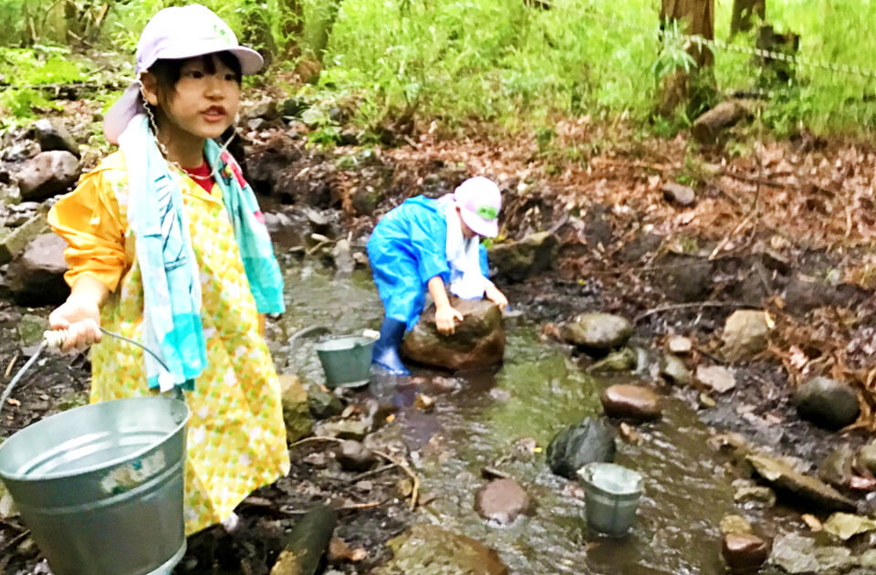 2023年7月 SuruSu祝昌こども園 森のほいくえんの様子