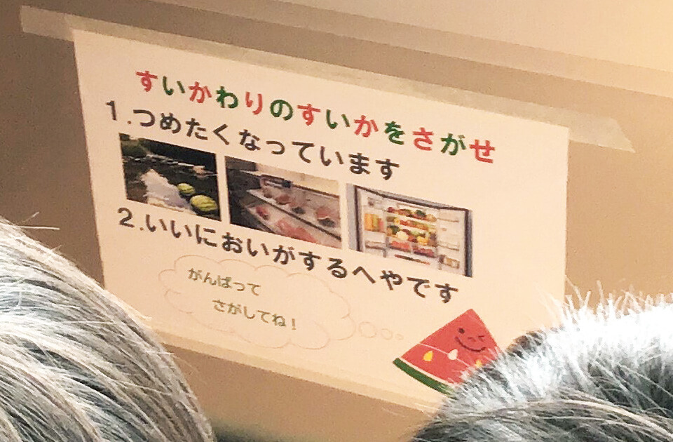 2023年8月 SuruSuスルス上陽こども園 スイカ割りの様子