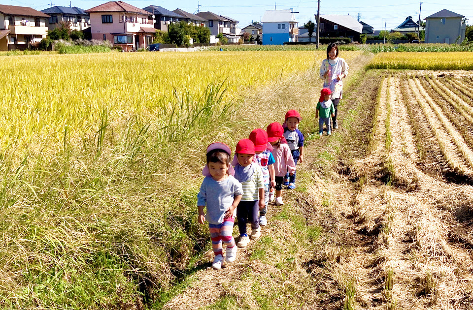 2023年10月 SuruSu祝昌こども園 散歩や戸外遊びの様子