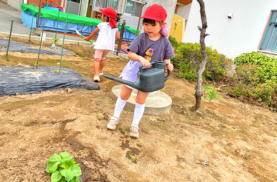 2026年6月 SuruSu上陽こども園 6月のこどもの様子