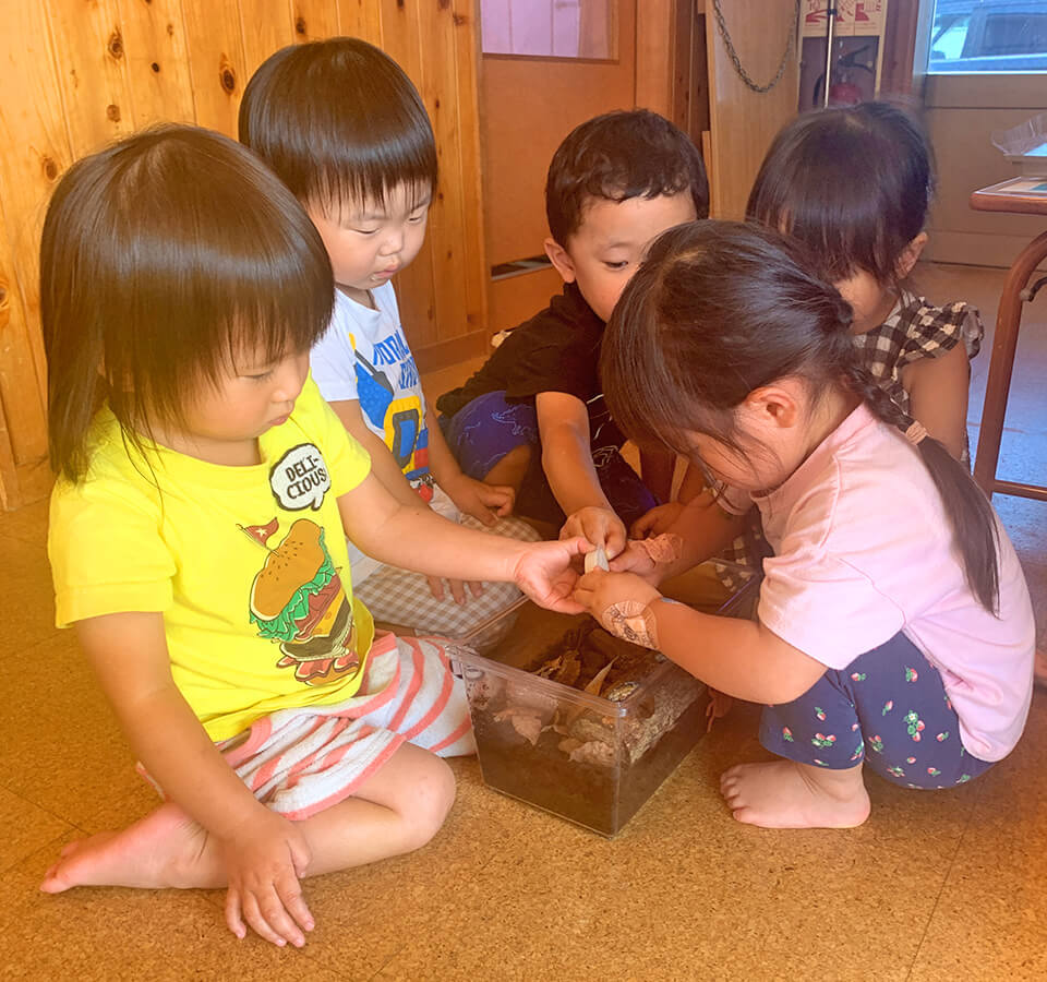 2026年7月 SuruSu上陽こども園 7月のこどもの様子