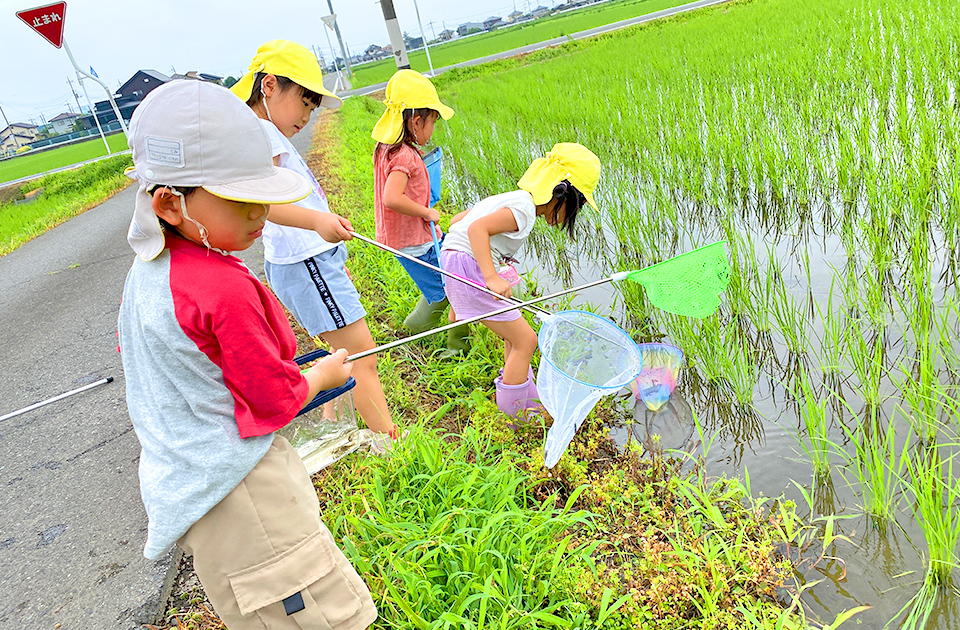 2026年7月 SuruSu上陽こども園 7月のこどもの様子