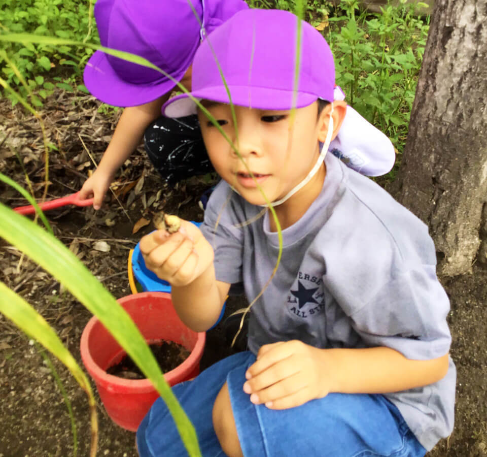 2023年9月 SuruSu祝昌こども園 戸外遊びの様子