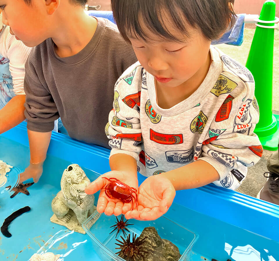 2025年11月 SuruSu祝昌こども園 移動水族館の様子