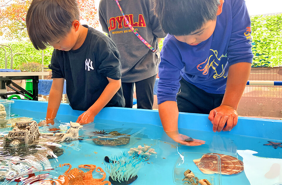 2025年11月 SuruSu祝昌こども園 移動水族館の様子