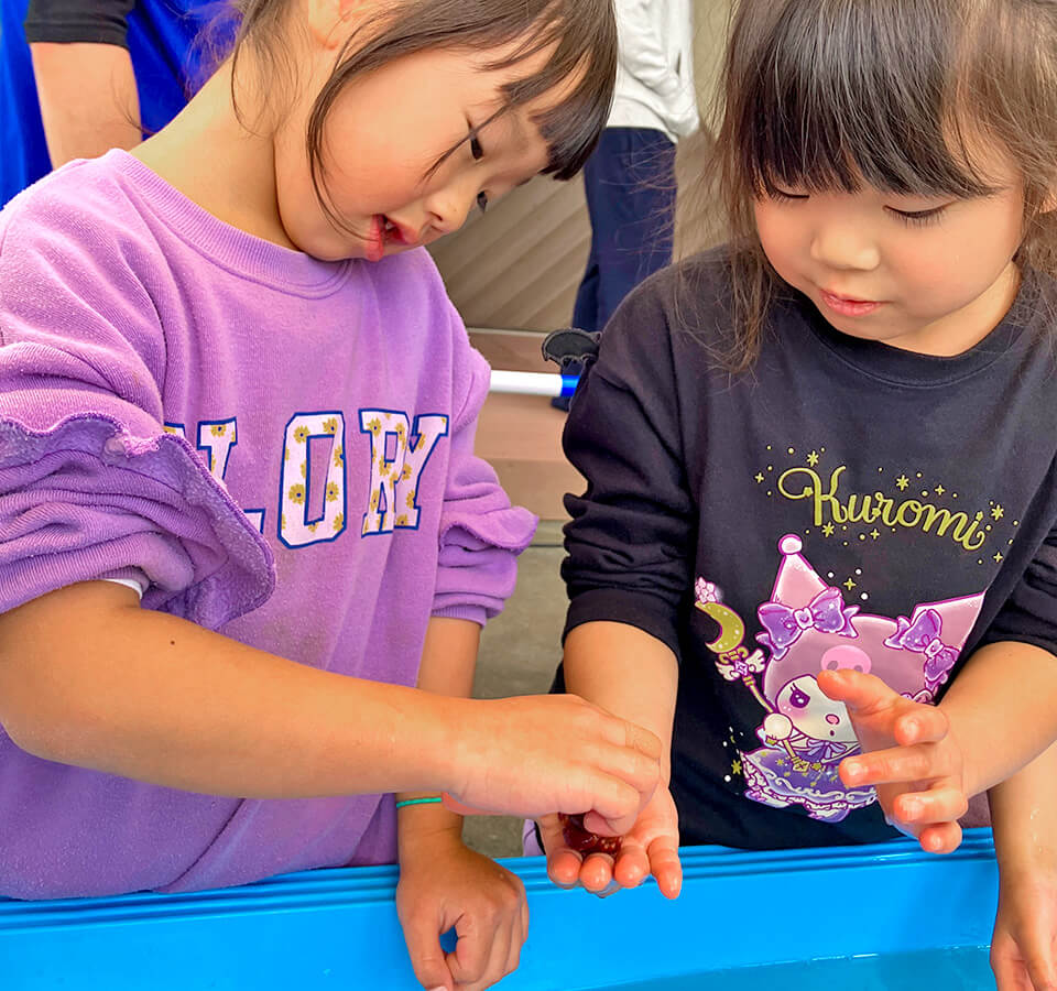 2025年11月 SuruSu祝昌こども園 移動水族館の様子