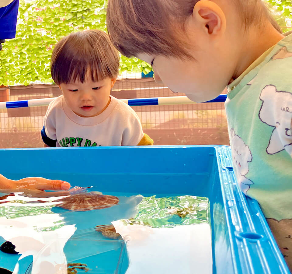 2025年11月 SuruSu祝昌こども園 移動水族館の様子