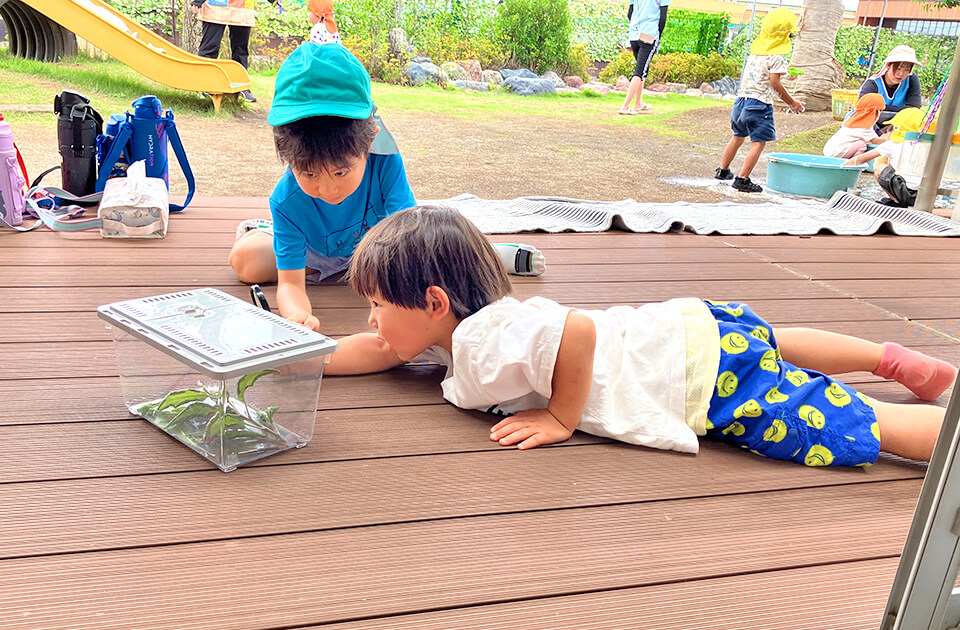 2026年6月 SuruSu祝昌こども園 6月の子どもの様子