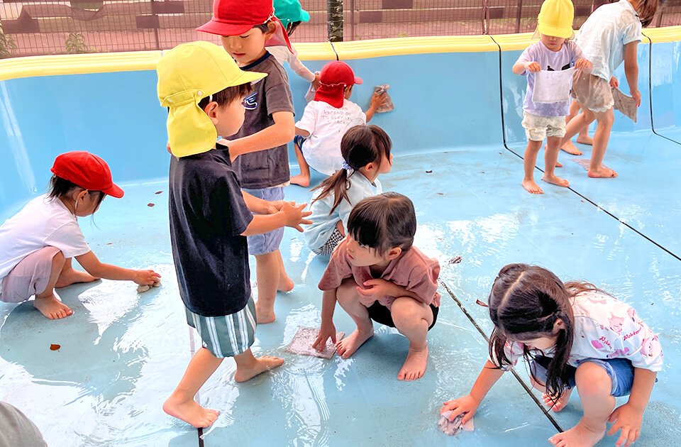 2026年6月 SuruSu祝昌こども園 6月の子どもの様子