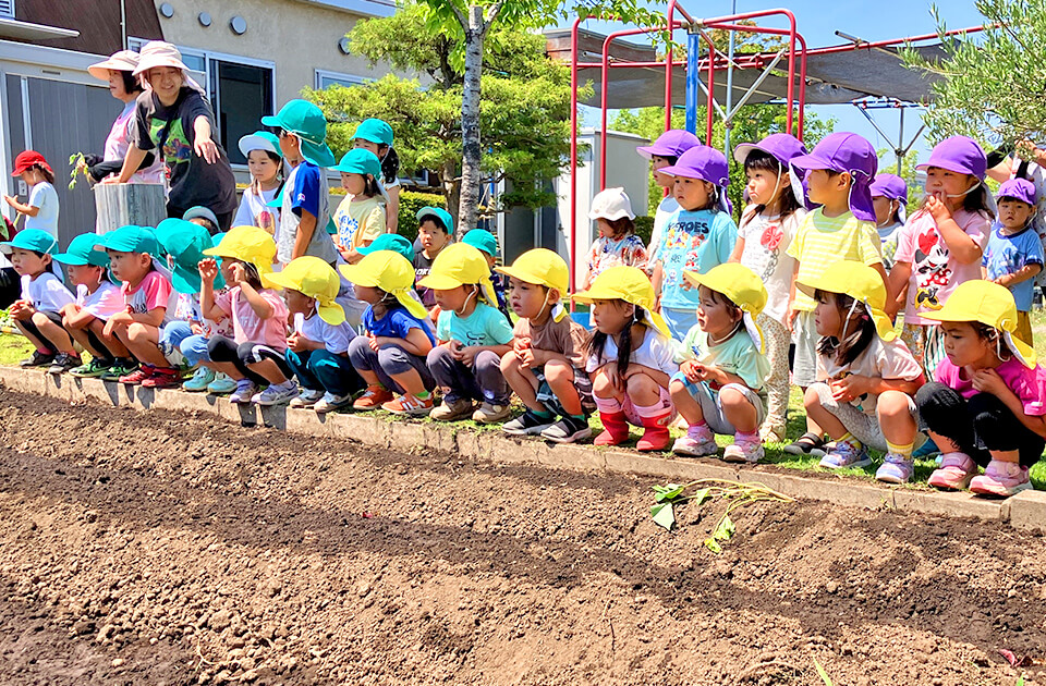 2026年6月 SuruSu祝昌こども園 6月の子どもの様子
