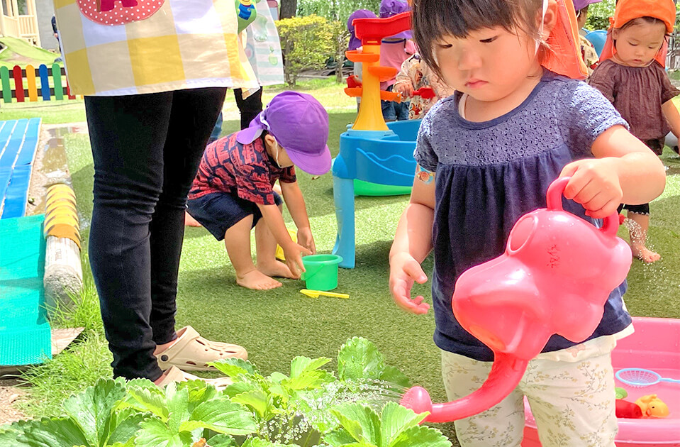 2026年6月 SuruSu祝昌こども園 6月の子どもの様子
