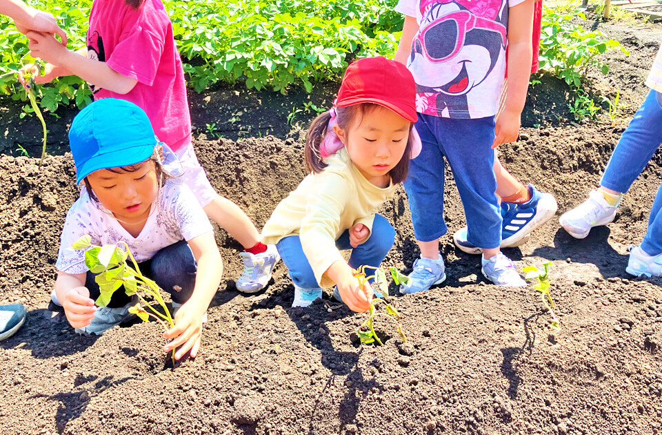 5月園外保育の様子