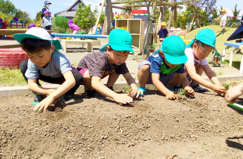 祝昌第二保育園 種まき・苗植えの様子 2021年5月