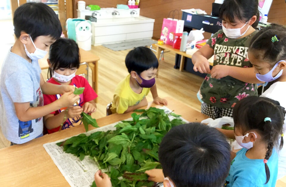 祝昌第二保育園 藍染め体験の様子 2021年8月